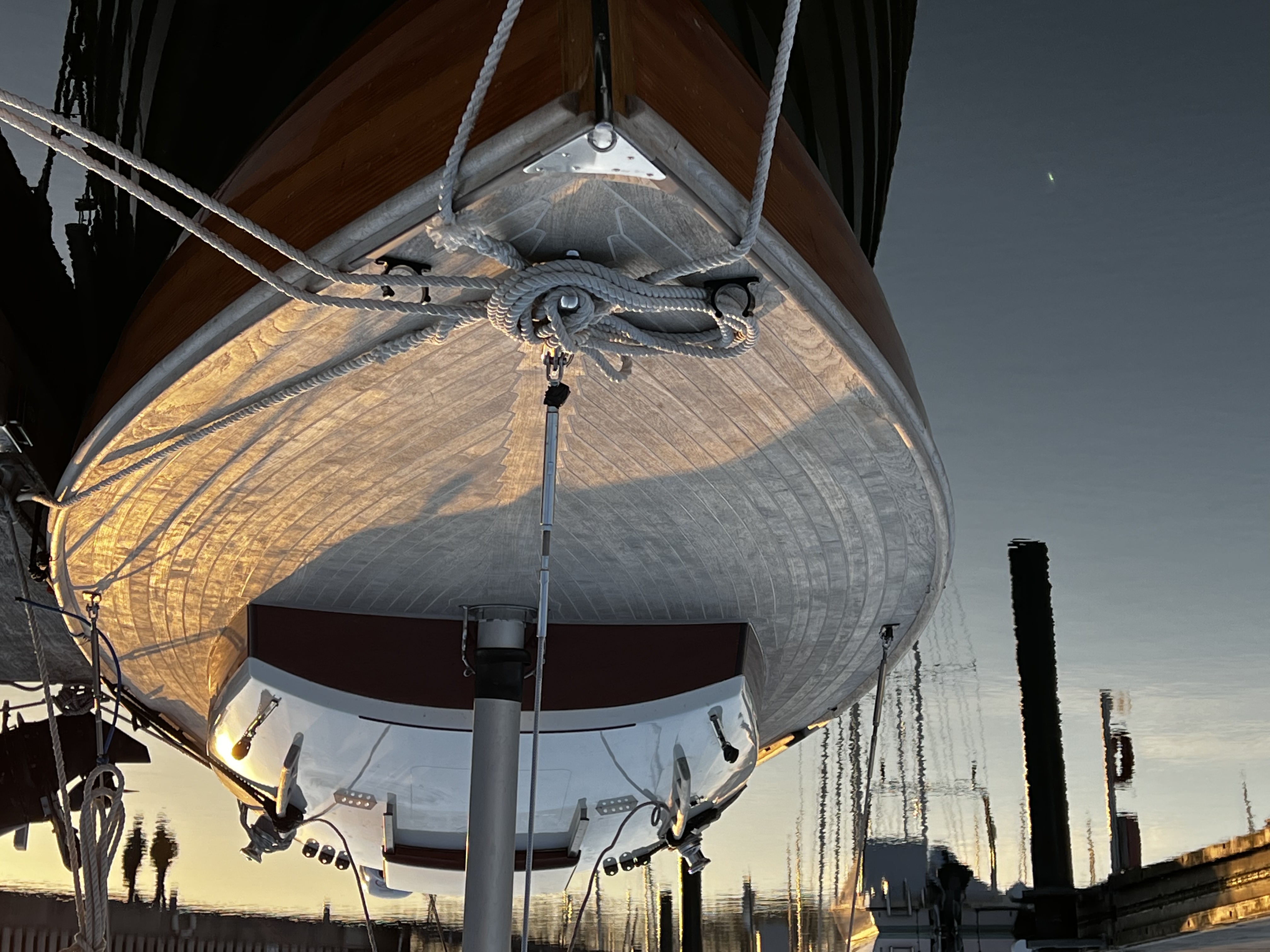 8C786230 037B 44F8 BC9B FB6F132A397A