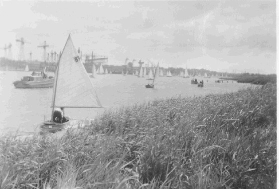 Regatta auf der Weser