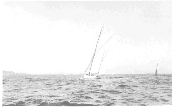 Regatta-02