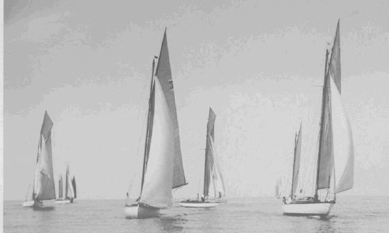 Regatta-19