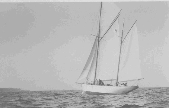 Regatta-48