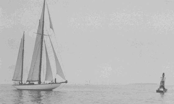 Regatta-53