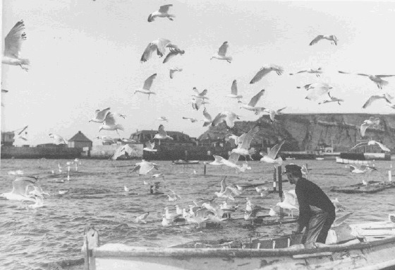 Helgoland 1928b