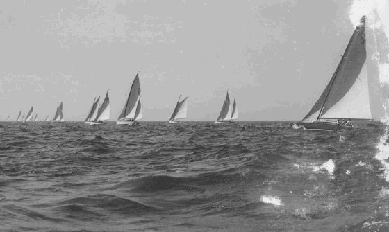 Rund um Helgoland-3