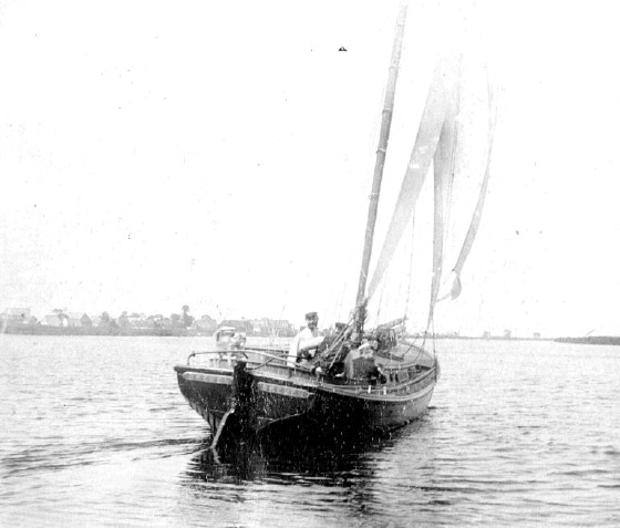 Sturmvogel 1896