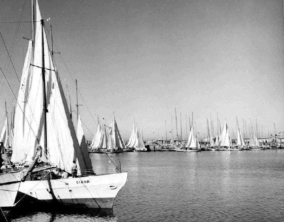 Helgoland 1953-d