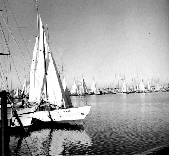 Helgoland 1953-i
