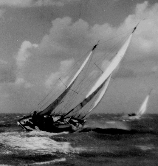 Homeward Bound vor der Weser 1951