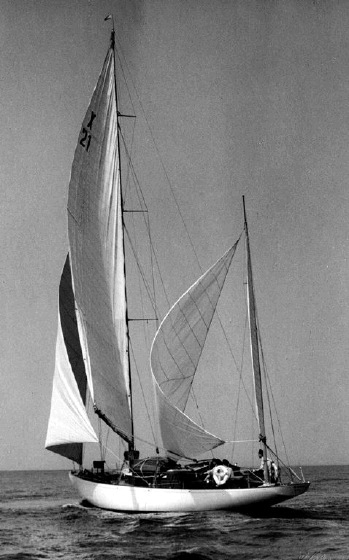 Wega WYC 1954
