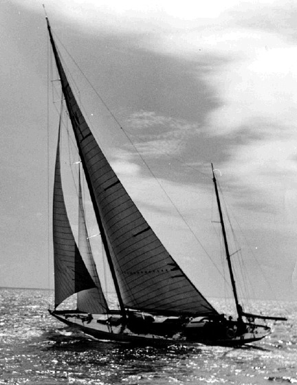 Athena 1954