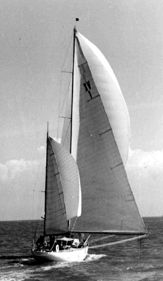 Athena 1955