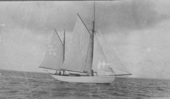 Kreuzeryacht Elfriede VII