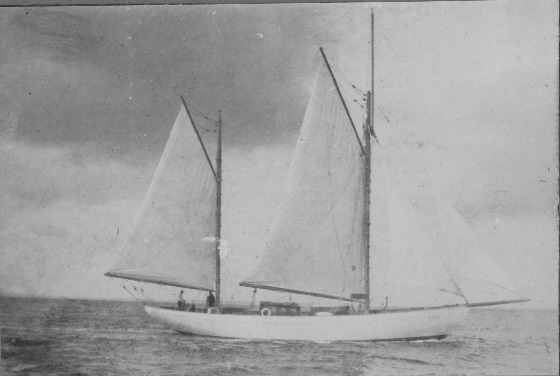 Kreuzeryacht Elfriede - VIII