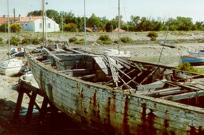 Amity 12mJI Vasière de Noirmoutier