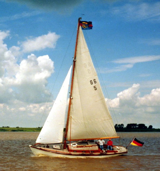 Kormoran