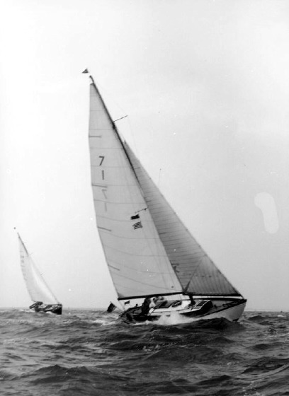 Piraya-6