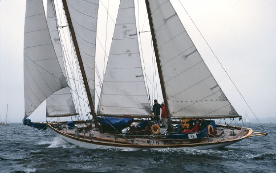 Senta