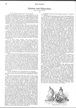 Erlebtes und Erlauschtes