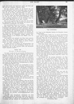 s1915-33-0401