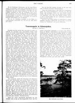 Tourensegeln in Küstenjollen