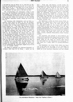s1917-02-0015