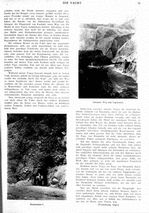 s1917-02-0021