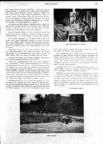 s1917-07-0081