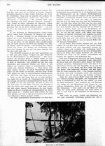 s1917-10-0110