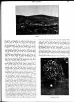 s1917-34-0405