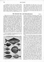 Die deutsche See- und Küstenfischerei
