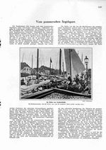 Pommerscher Segelsport