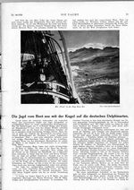 Jagd vom Boot aus auf Delphine, Die