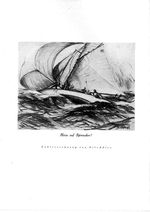 Heiß auf Spinnaker! (Kohlezeichnung von Nils Adler)