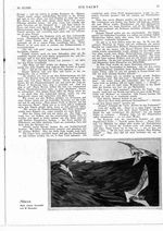 s1929-52-0017
