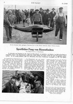 Sportlicher Fang von Riesenfischen