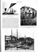 s1931-03-0017