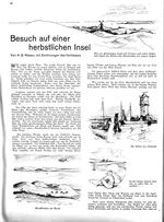 Besuch auf einer herbstlichen Insel
