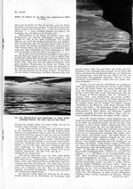 s1937-36-0011