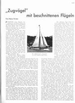 "Zugvögel" mit beschnittenen Flügeln