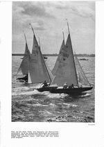 Stare auf der Kieler Förde (Urbahns)