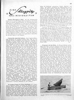 Segelküken - Kükenklasse (Foto Segor)