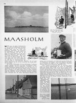 Maasholm (G. Grell)