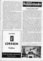 Schwere Unfälle im Neuseeland-Rennen
