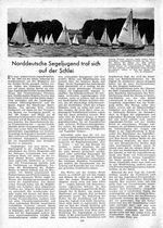 Schlei-Woche und Woge-Preis-Rennen