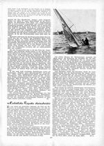 Herbst-Regatta rheinabwärts