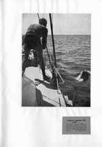 s1955-04-0088