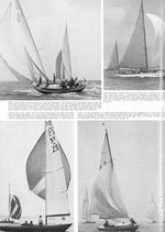 Spinnaker-Freud und –Leid