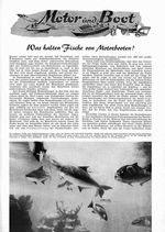 Was halten Fische von Motorbooten?