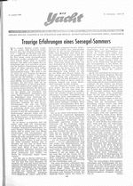 Traurige Erfahrungen eines Seesegel-Sommers
