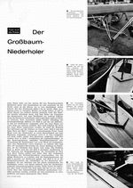 Großbaum-Niederholer, der